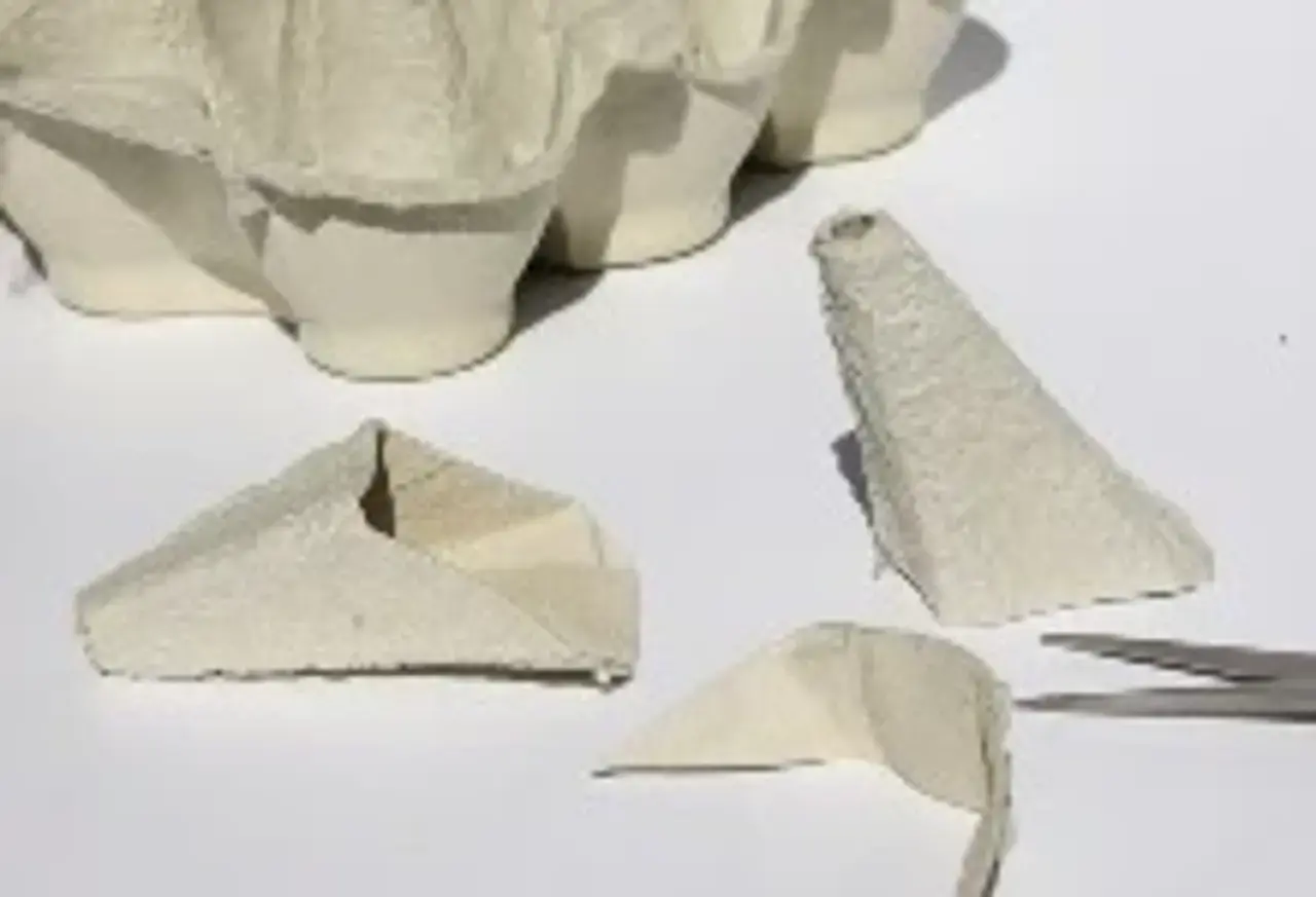 zerschnittener Eierkarton