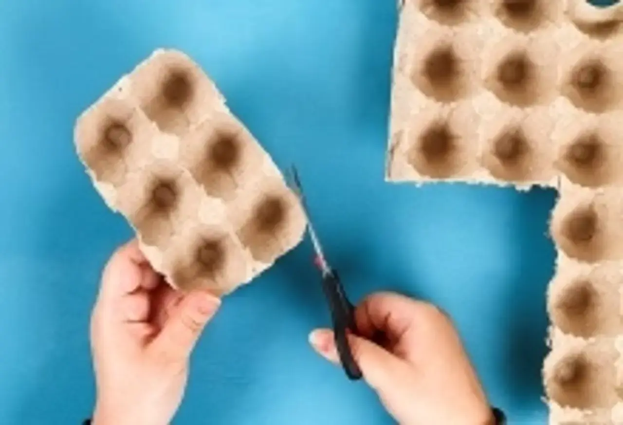 Eierkarton in die benötigte Größe zuschneiden