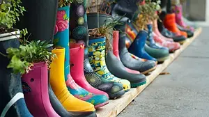 Bunte Gummistiefel mit unterschiedlichen Pflanzen darin