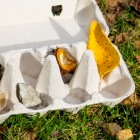 geöffneter Eierkarton mit Blättern und Ästen